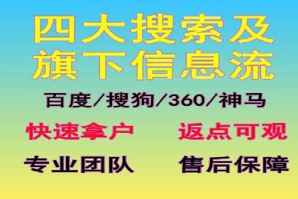 SEM推广策略：成功案例解析